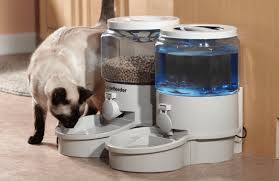Automatic Cat Feeders